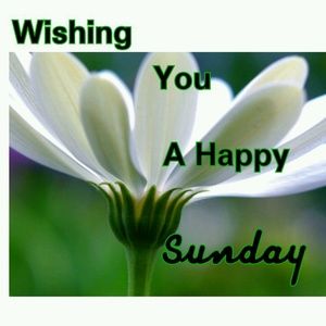 Meet your Posher, Chinasa